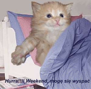 Weekend kotek mogę się wyspać